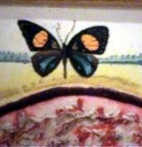 Pillangószív Dalítól