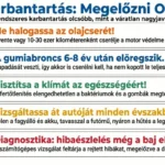Itt az autószerviz ideje – teljes útmutató az autó időszakos karbantartásához Autókarbantartás - ismeretek infografikán