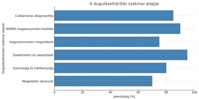 A duguláselhárítás szakmai alapjai